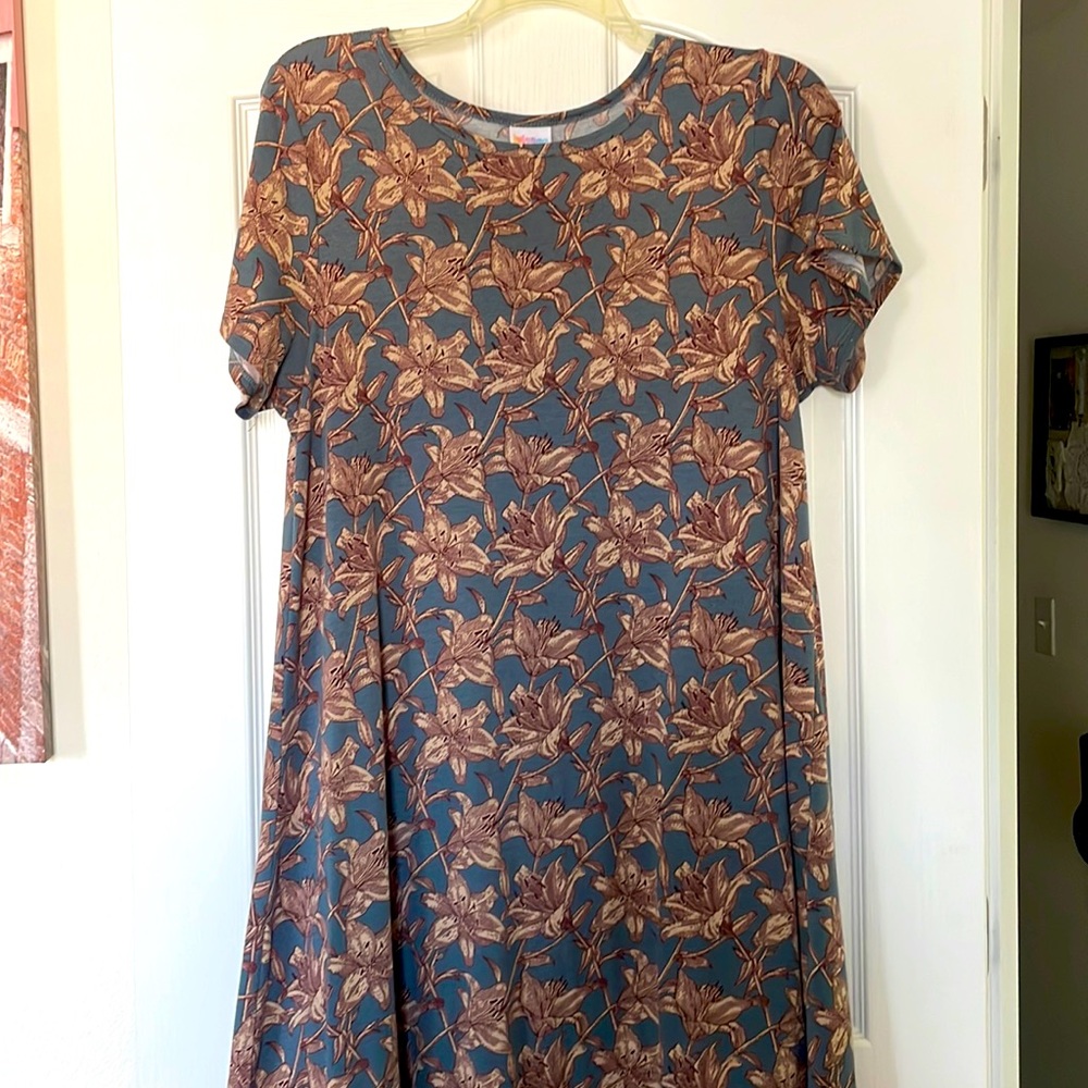 LuLaRoe Carly dress